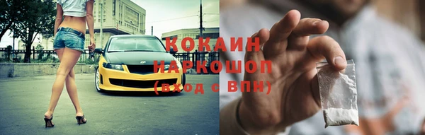 гидра Арсеньев