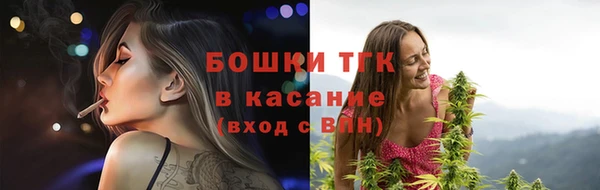 гидра Арсеньев