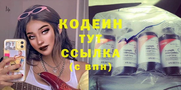 гидра Арсеньев