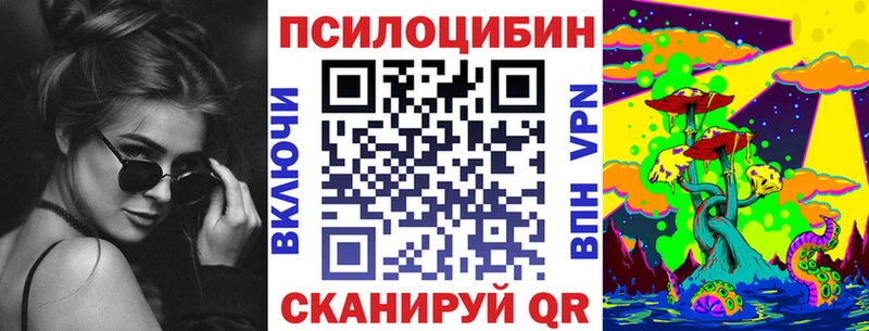 Купить где Тогучин Псилоцибиновые грибы прущие грибы